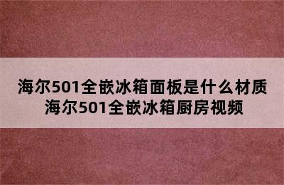 海尔501全嵌冰箱面板是什么材质 海尔501全嵌冰箱厨房视频